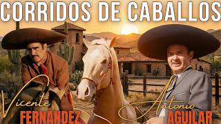 Vicente Fernández & Antonio Aguilar | Clásicos del Rancho 🇲🇽🔥 Corridos de Caballos 🐎