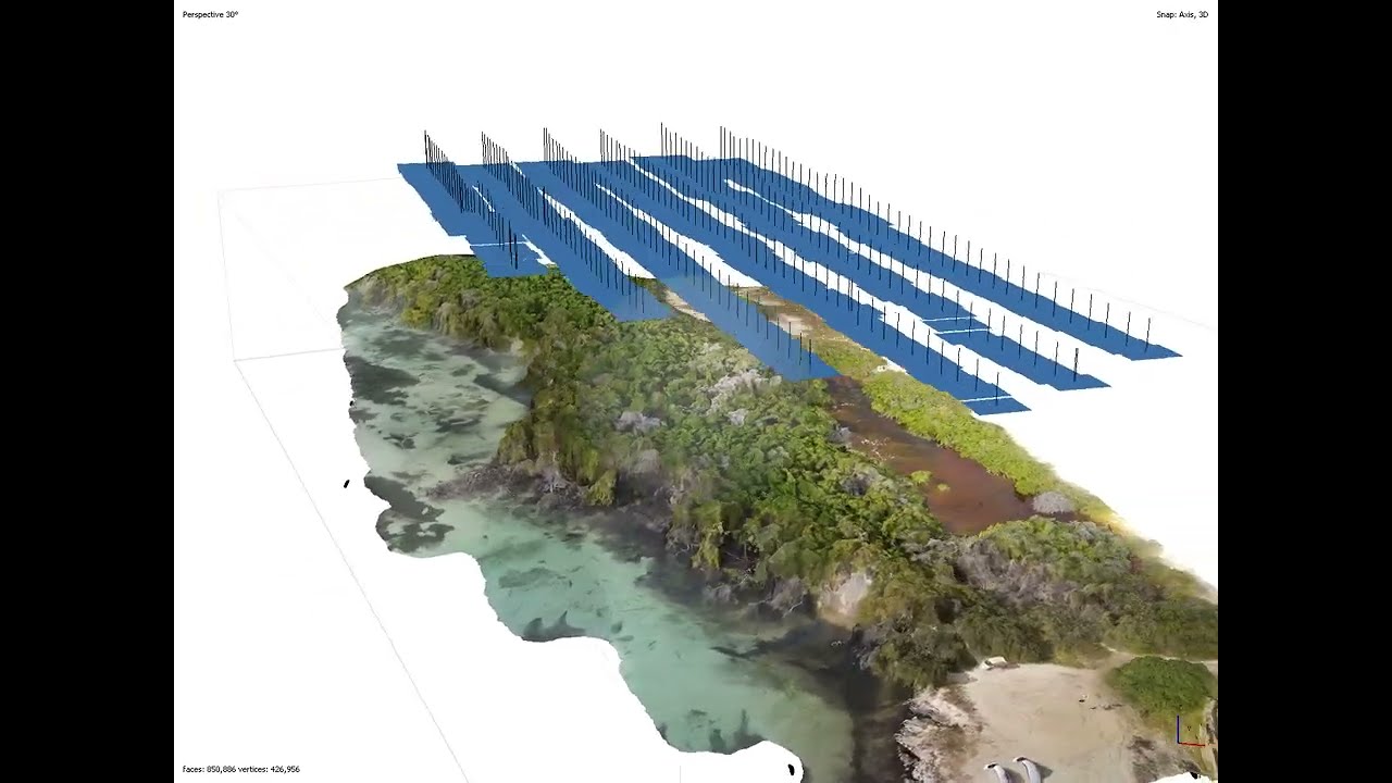 Mangroves Aruba 3D Rendering