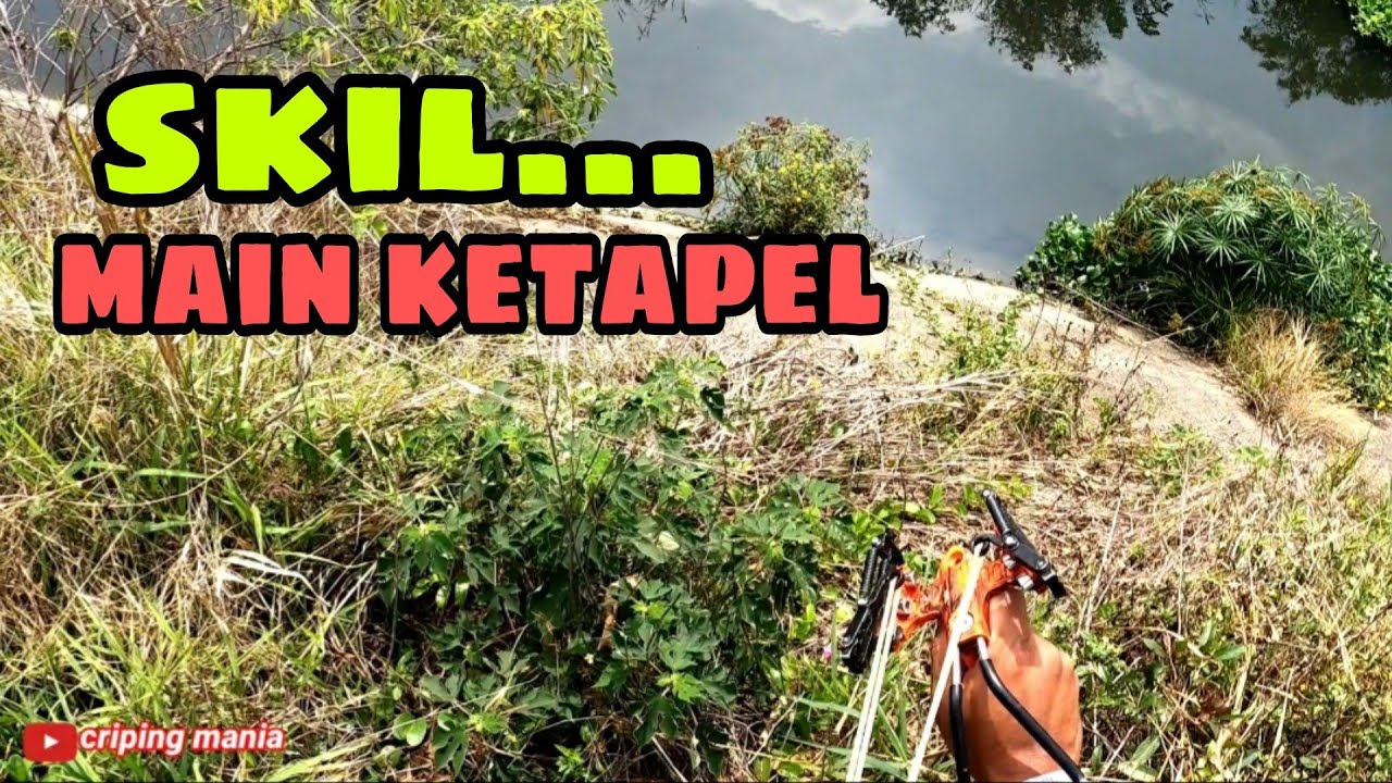 ketapel-ikan-ikan-mabok-borong-auto-panen-youtube