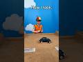 Remote control drift car