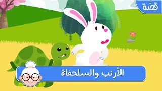 الأرنب والسلحفاة - قصص اطفال قبل النوم - حكايات اطفال بالعربية