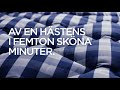 Hästens Promotion, version 1 (SWE)