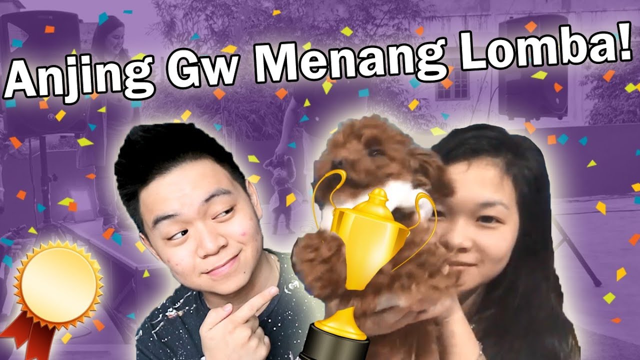 VLOG : ANJING GW LEBIH BERBAKAT DARIPADA KALIAN! LOL