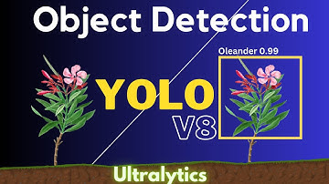 Medical Plant Detection Project Using Machine Learning | YOLOv8