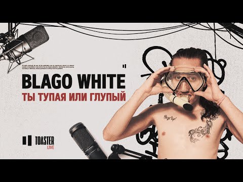 BLAGO WHITE - Ты тупая или глупый | Toaster Live