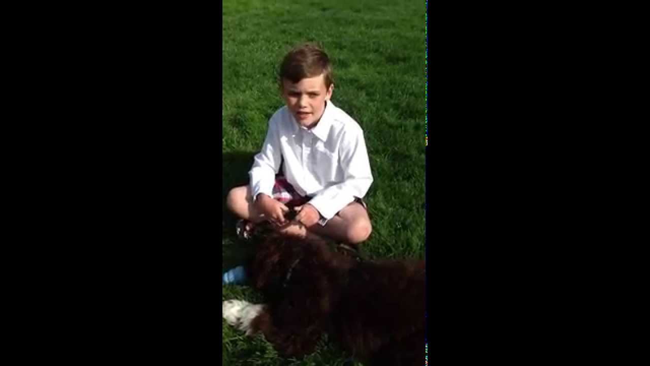 Cups for Pups: Lemonade Day Indy Seed Fund Top 5 (2014)