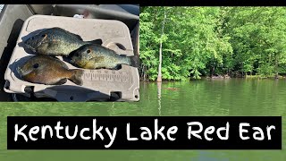 Red Ear & Bluegill The Perfect Panfish Combination