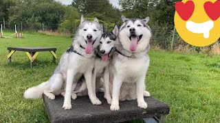 NEVER SEEN THEM THIS HAPPY!