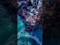Devprayag tehri garhwal #devprayag #tehri #garhwal #love #views #travel #spirituality #shorts#status