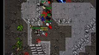 Tibia otservers war