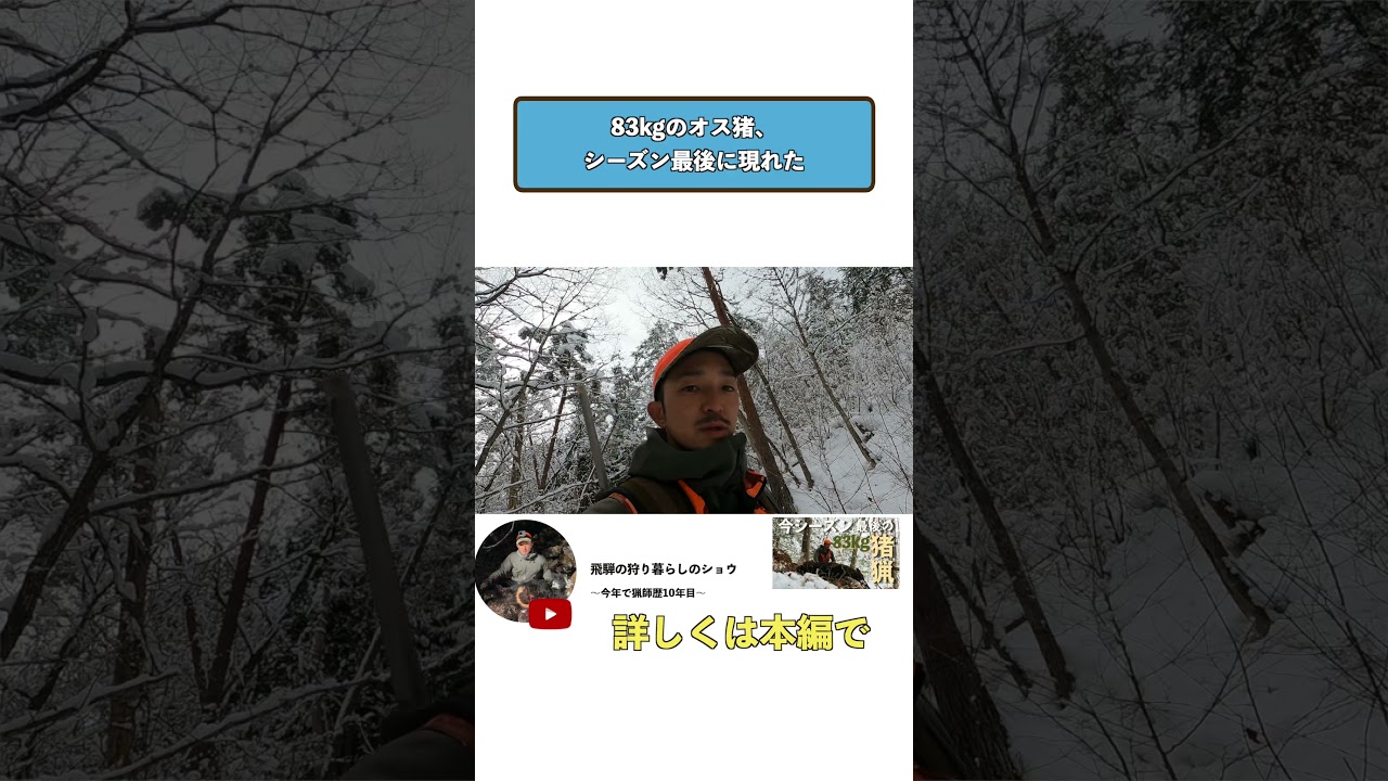 #24　シーズン最後は83kgオス猪でした