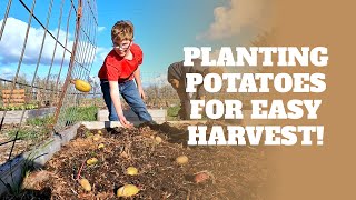 Quick Tip: Planting Potatoes for an Easy No-Dig Harvest!