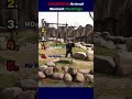 Critters Caught Being Fundamentally Awesome