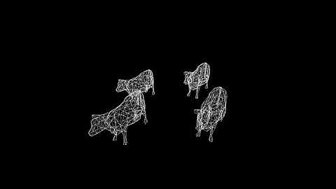 Field Programmable Gate Array (FPGA) Wireframe Rendering Engine