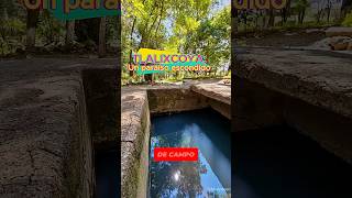 Tlalixcoya: un paraíso escondido en Tarimoro 🌿