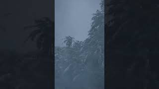 π©οΈ Epic Storm at Tropical Forest: Extreme Wind and Thunders Unleashed π΄