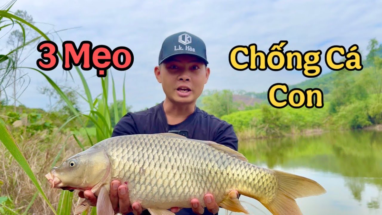 3 Cách Chống Cá Con Thực Chiến Hiệu Quả