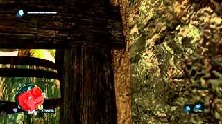 Assassin's Creed 4 : Black Flag - Bug/Glitch à Nassau