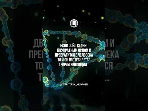 Глупость Теории Эволюции