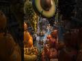 Tiny Humans Built a Secret Civilization Inside a Supermarket… #shorts
