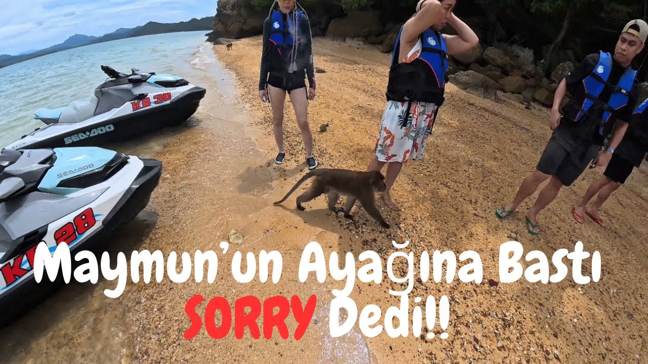Ada’da Maymunlar Saldırdı jet ski part 2 #phuket #jetski 
