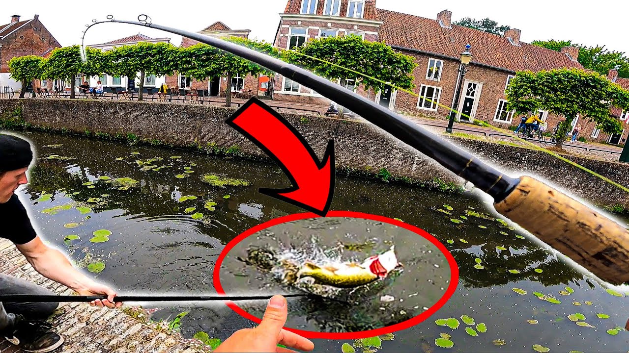 WIJ DOEN MEE AAN EEN ROOFVIS WEDSTRIJD! GAAN WE WINNEN?🏆