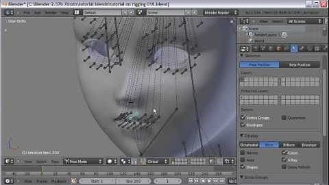 Blender 2.57b Basic Rigging Tutorial