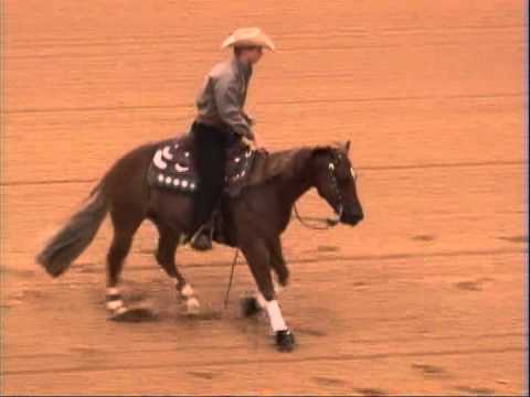 Juicy Hollywood News- High Roller Reining Classic