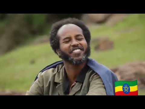 ገዳይ ሲያረፋፍድ