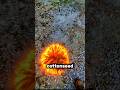 🔥 This Fire Burns Fast... But The Grass Survives?! #shorts