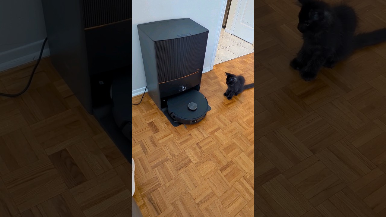 LOVE this robot vacuum & mop 🙌🏻🖤 use the code gabiedreameL for 300$ off#cleaningwithgabie