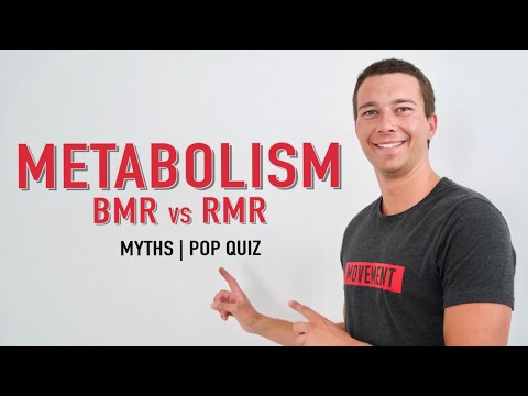 Metabolic Rate Explained | BMR vs. RMR