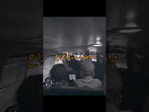ترند التيك توك الو ايوه يا فندم طالب مين امير قاسم 2022