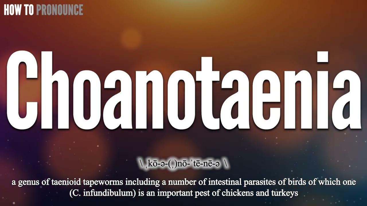 Choanotaenia Pronunciation How To Pronounce say Choanotaenia 