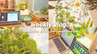 Weekly Vlog Ft Countryside Studying Book Pressed Flowers Relaxing Days Aesthetic Silent Vlog