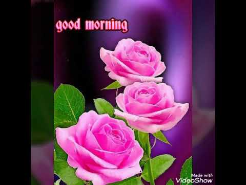 Morning blessed - YouTube