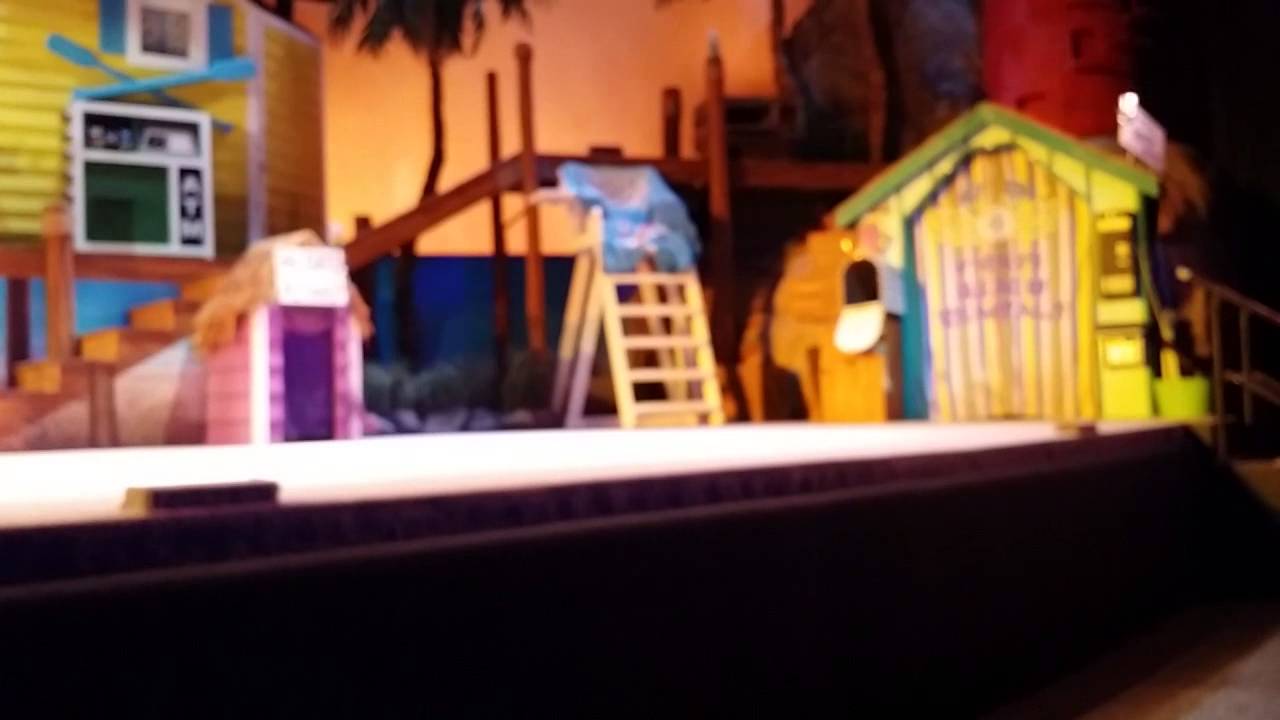 Pets Ahoy Finale SeaWorld Orlando cats dogs YouTube