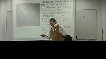 Protein Prediction 2 for Bioinformaticians – Lecture 9, Protein Protein Interaction: Sites 2