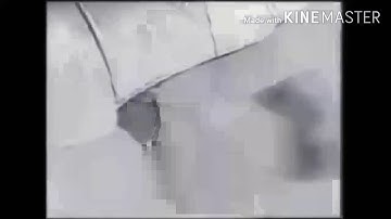 Taystee Bread - Bliplane (Recreation)