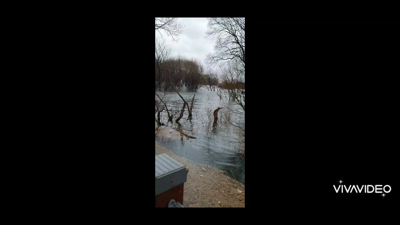 강 건너 봄이 오듯  테너 심명 #예당저수지