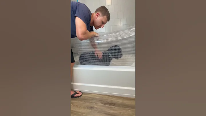 Three Pet Gadgets 🐶 #dogslover #pets #petlover #shorts #amazon