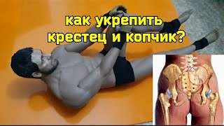 Почему Компрессия Нервов Крестца И Копчика Вредит Тазобедренным Суставам И Половой Системе?