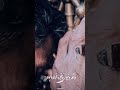 پنجره فولاد امام رضا مشهد پنجره فولاد حرم امام رضا