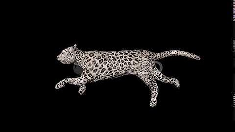 Snow Tiger Run | Motion Graphics - Envato elements