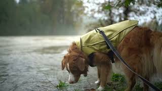 Little River Dog x Kurgo | Halifax Rain Jacket