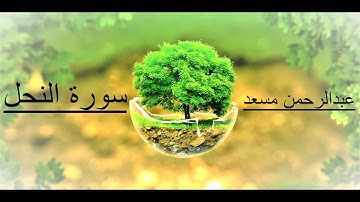 سورة النحل من (56) الى (59) القارئ عبدالرحمن مسعد
