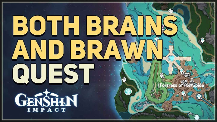 Both Brains and Brawn Genshin Impact