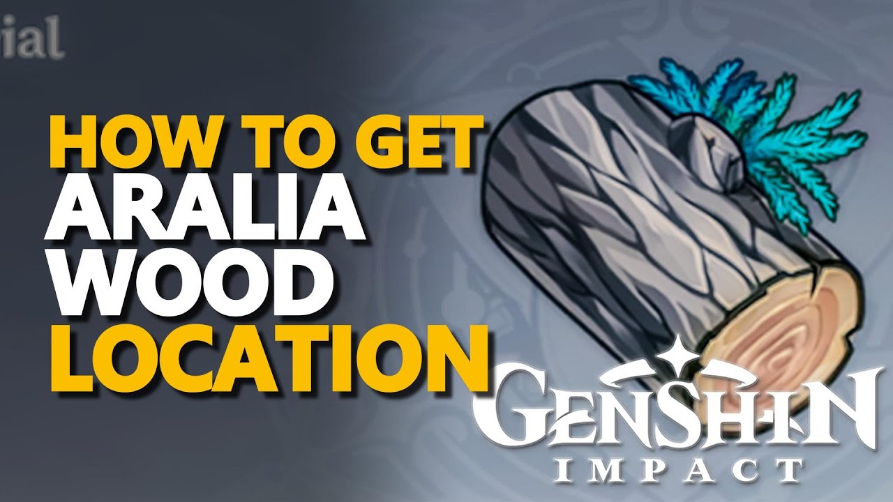 Aralia Wood Genshin Impact YouTube
