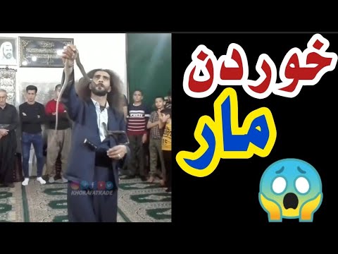 گذاشتن مار در دهان در مراسم دراویش