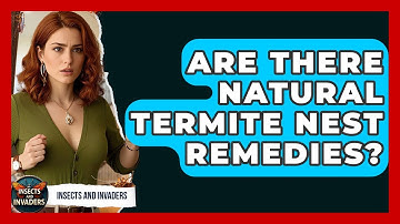 Are There Natural Termite Nest Remedies? - Insects and Invaders